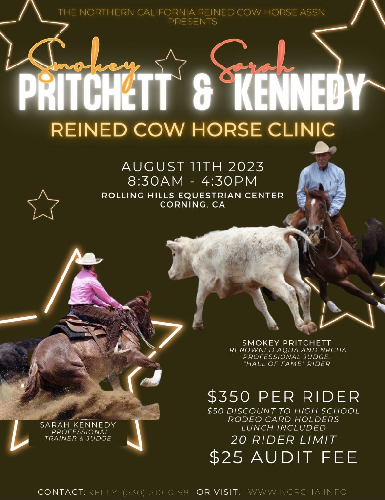 Reined cow horse clinic poster
