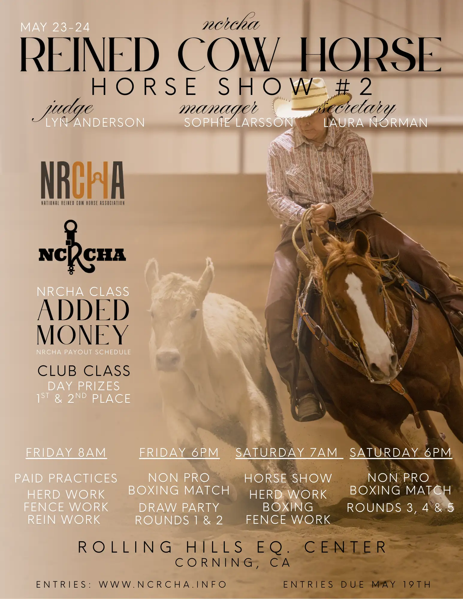 Reined Cow Horse show