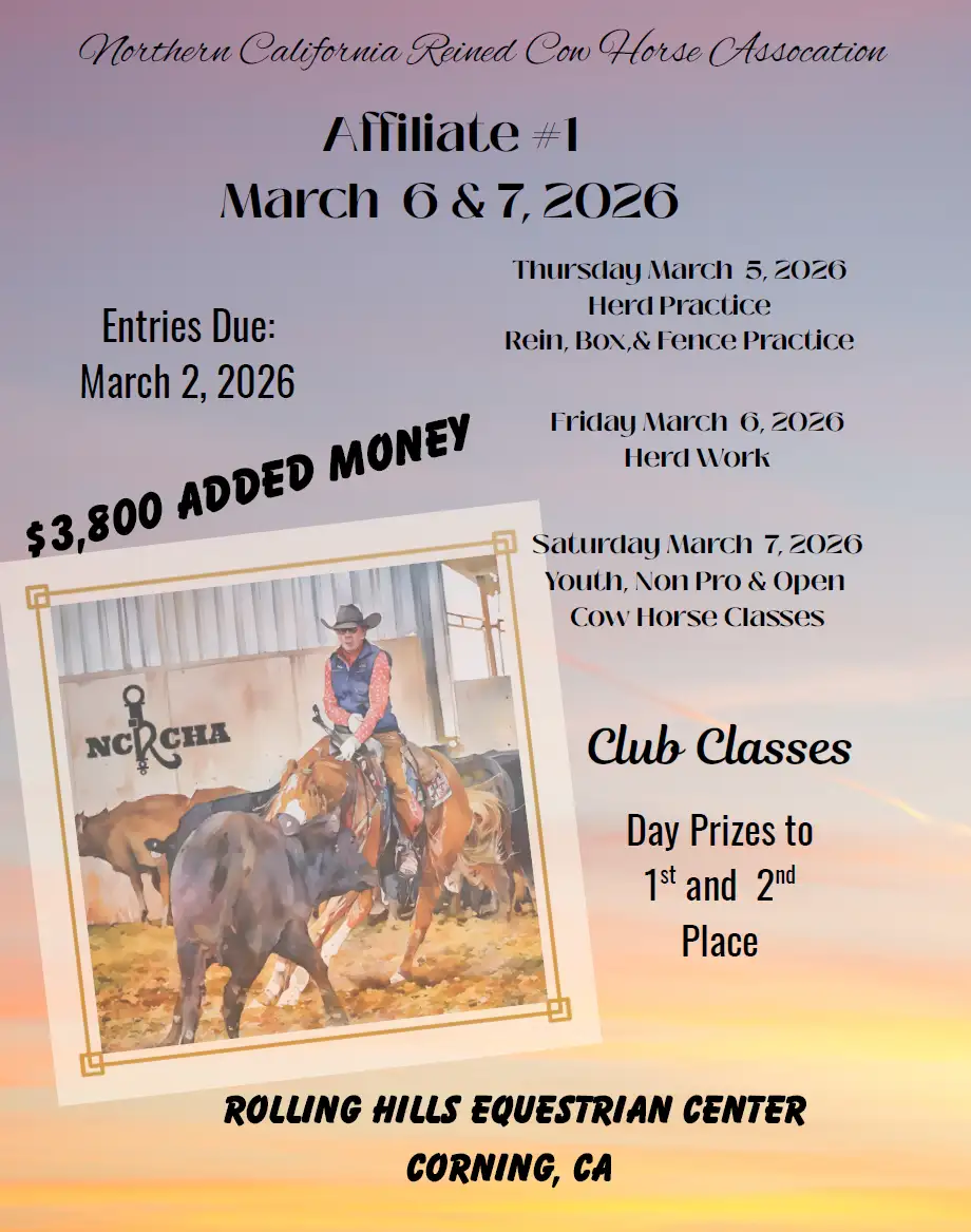 Cow horse show premium