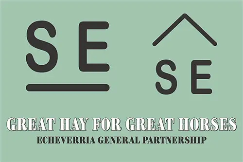Echeverria General Partnership
