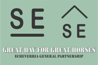 Echeverria General Partnership 4x6